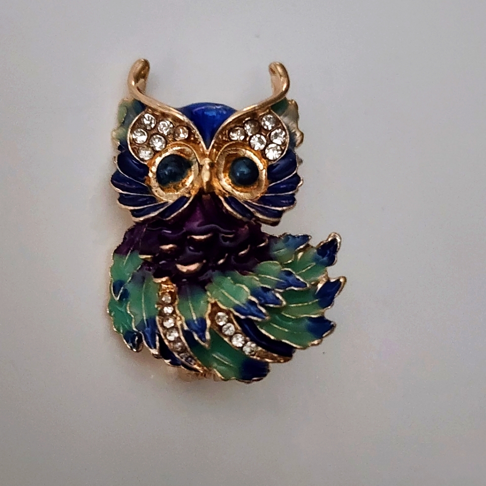 Vibrant Orange And Blue Owl Brooch